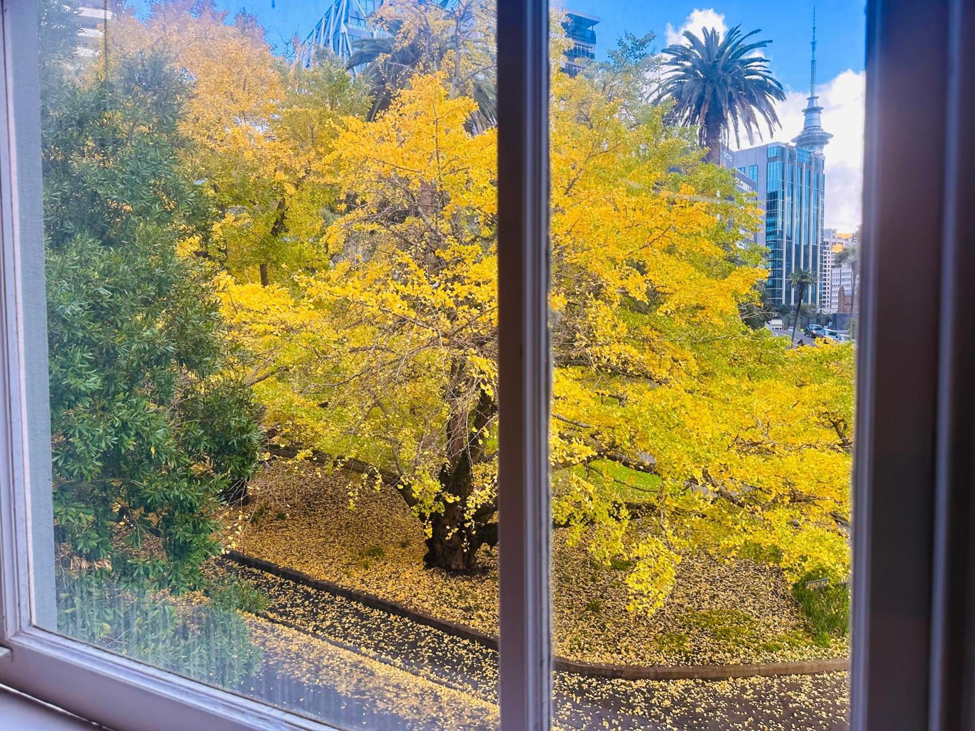 Gamma Hotel Auckland Extérieur photo