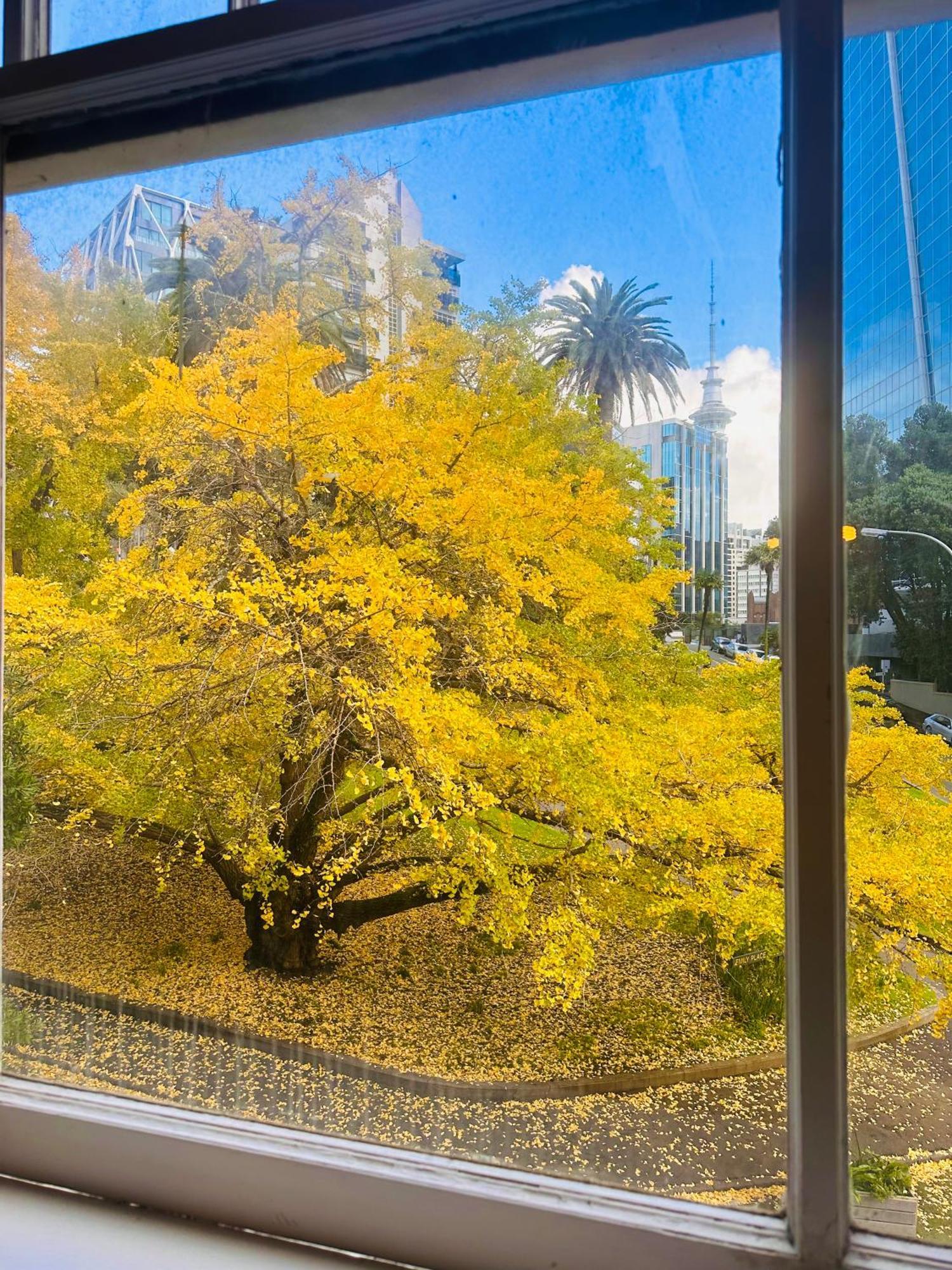 Gamma Hotel Auckland Extérieur photo